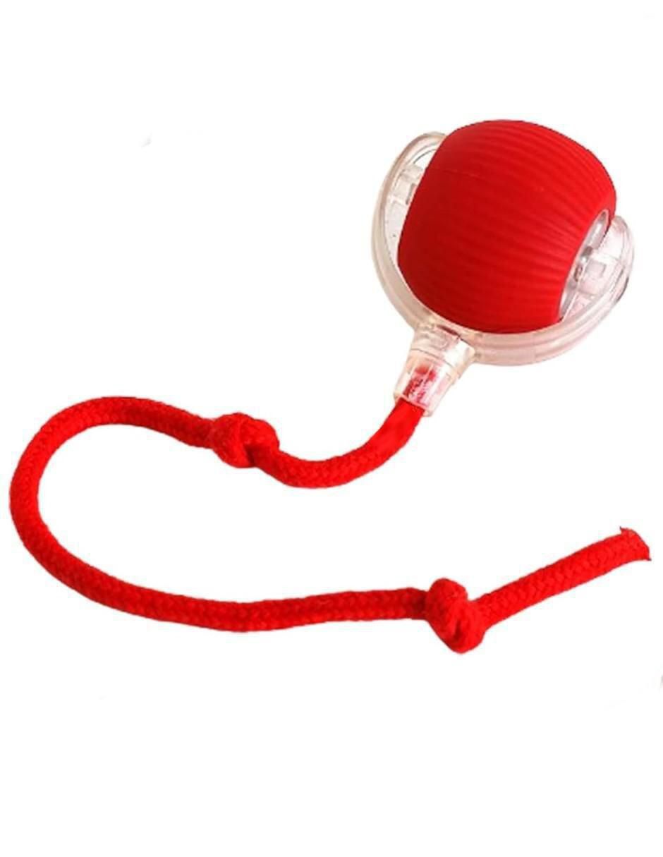 Juguete interactivo para perro y gato