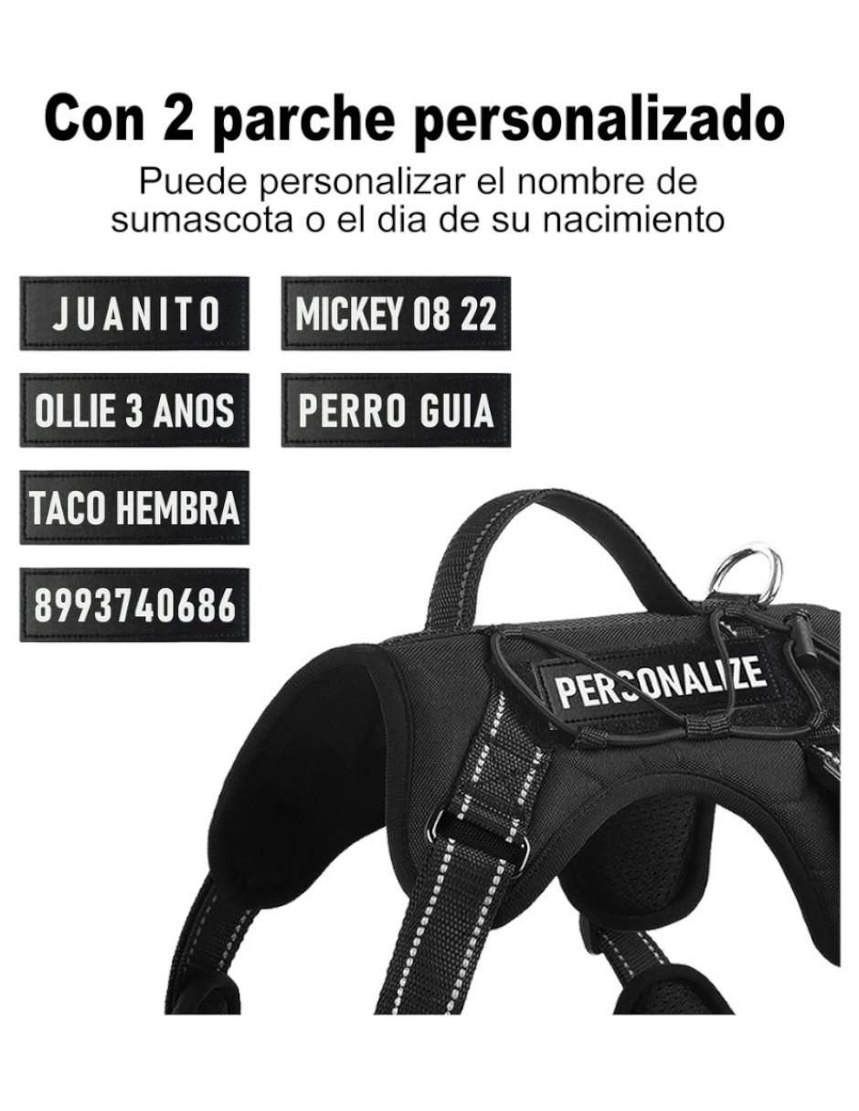 Arnés y correa para perro 2