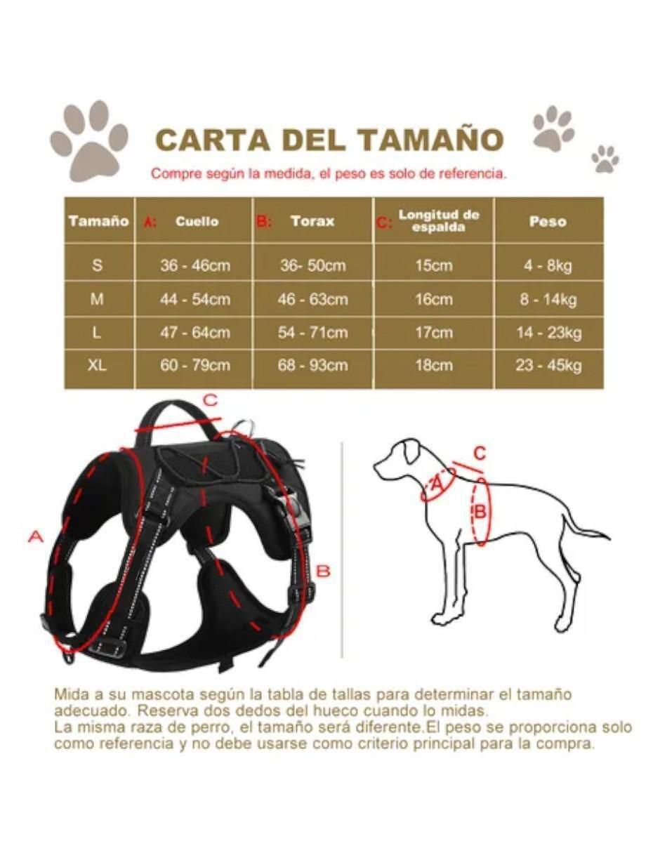 Arnés y correa para perro 3