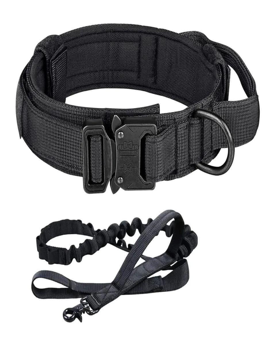 Correa y collar para perro