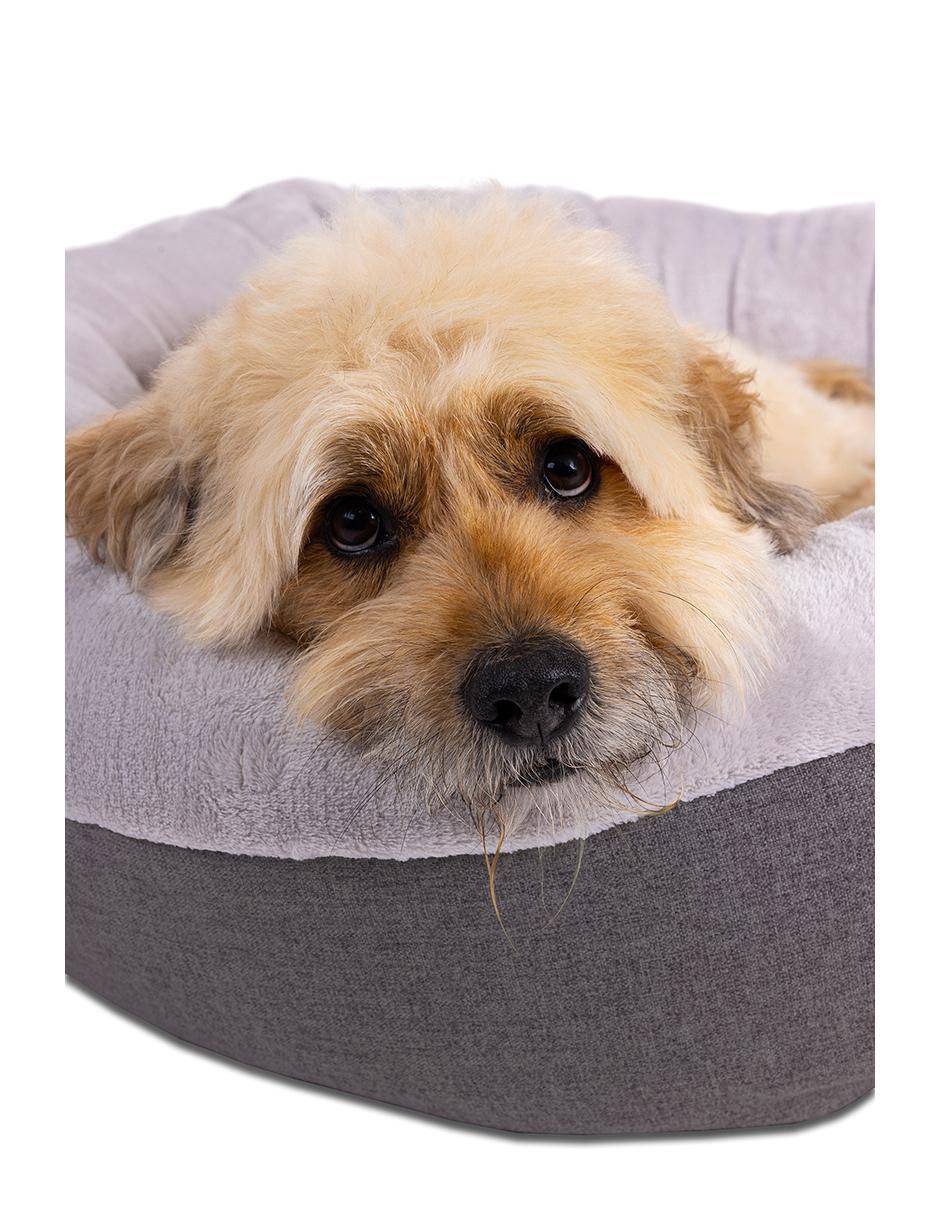 Cama "para" perro y gato pet2go