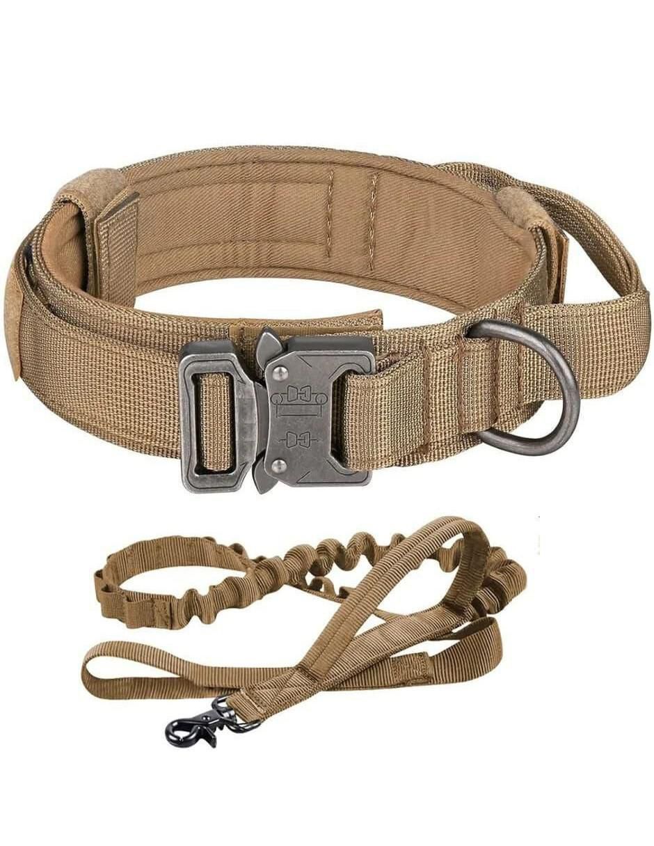 Correa y collar de poliéster para perro Correa y collar de poliéster para perro