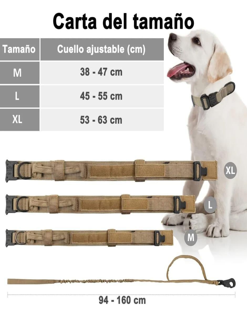 Correa y collar de poliéster para perro 6