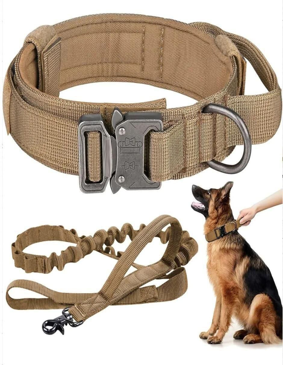Correa y collar de poliéster para perro 2