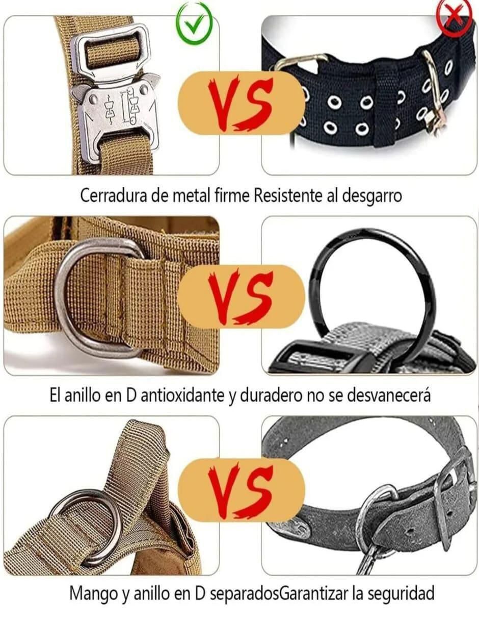 Correa y collar de poliéster para perro 4