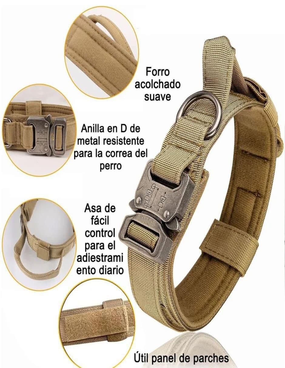 Correa y collar de poliéster para perro 5
