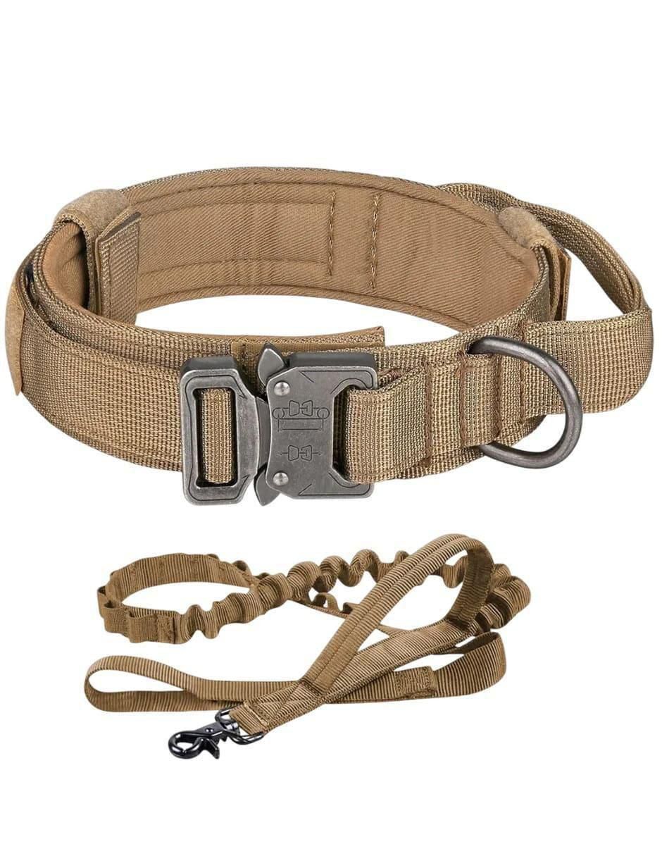 Correa y collar de nylon para perro Correa y collar de nylon para perro