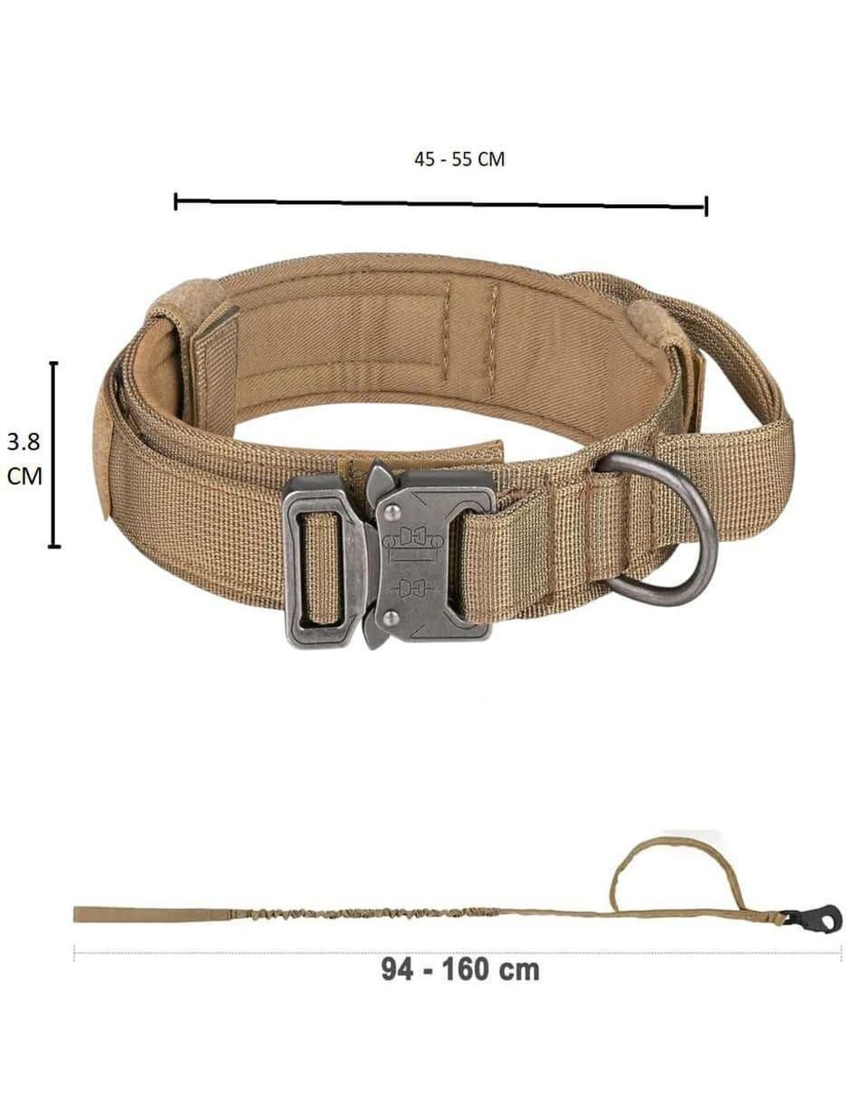 Correa y collar de nylon para perro 5