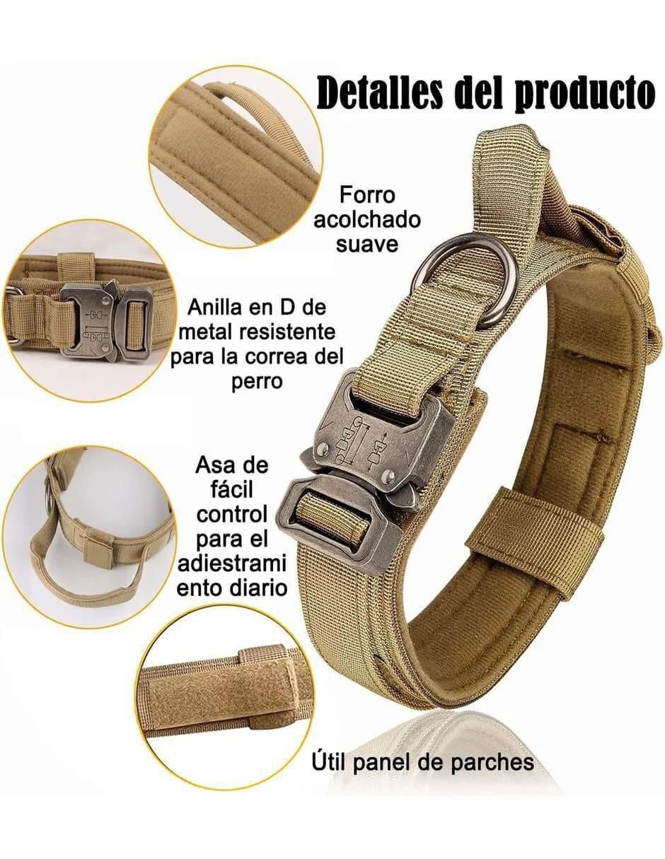 Correa y collar de nylon para perro 2