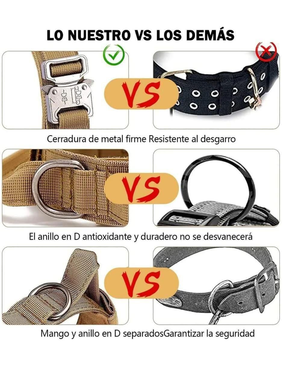 Correa y collar de nylon para perro 3