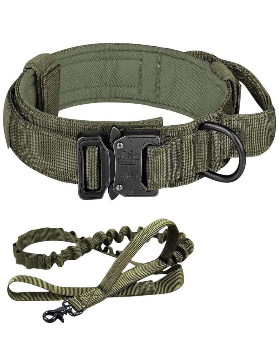 Correa y collar de nylon para perro y gato Correa y collar de nylon para perro y gato
