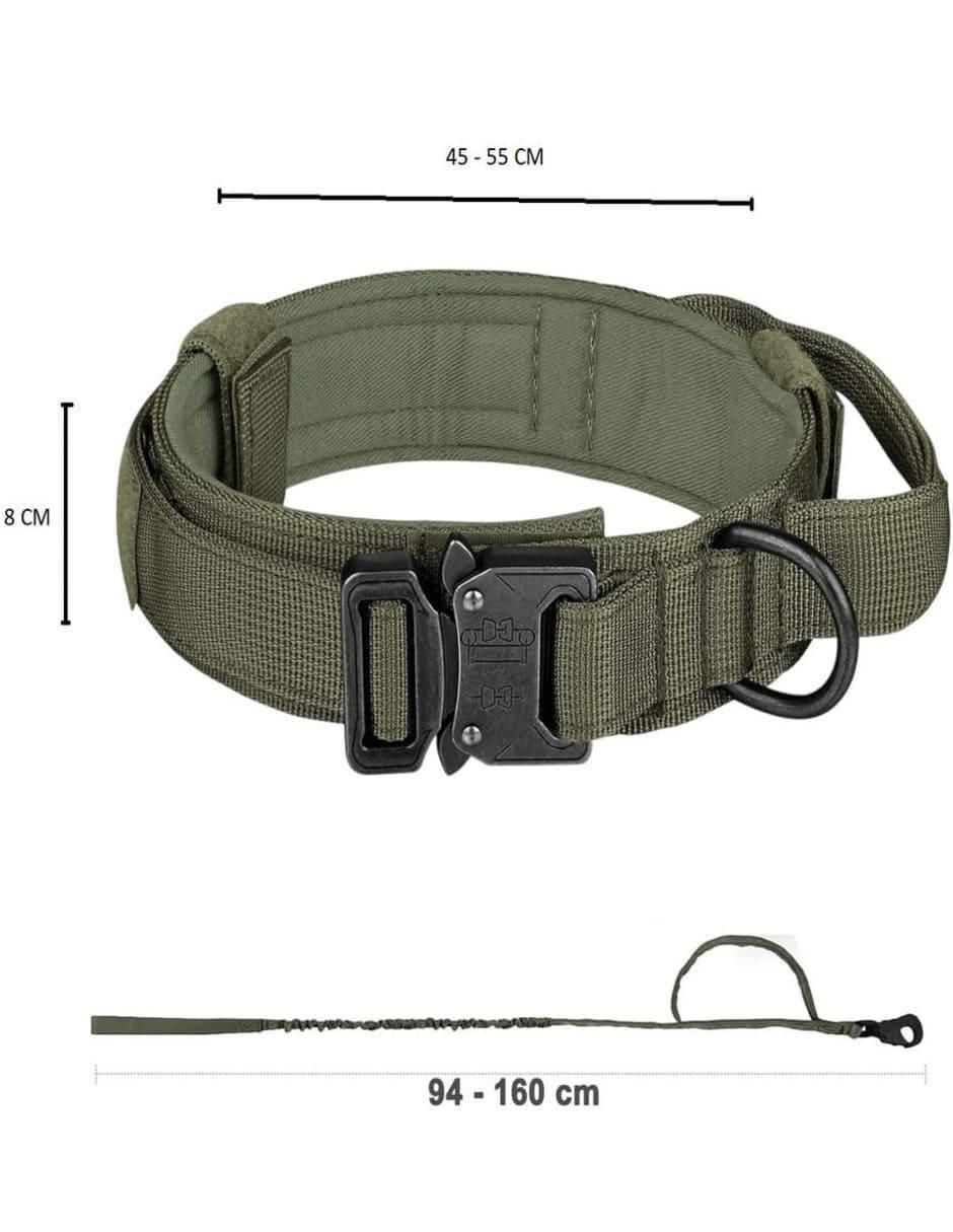 Correa y collar de nylon para perro y gato 4