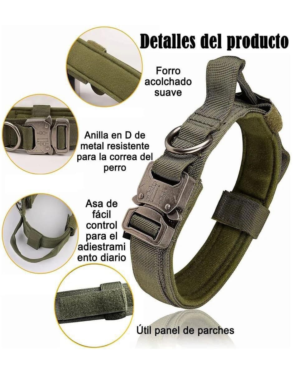 Correa y collar de nylon para perro y gato 2