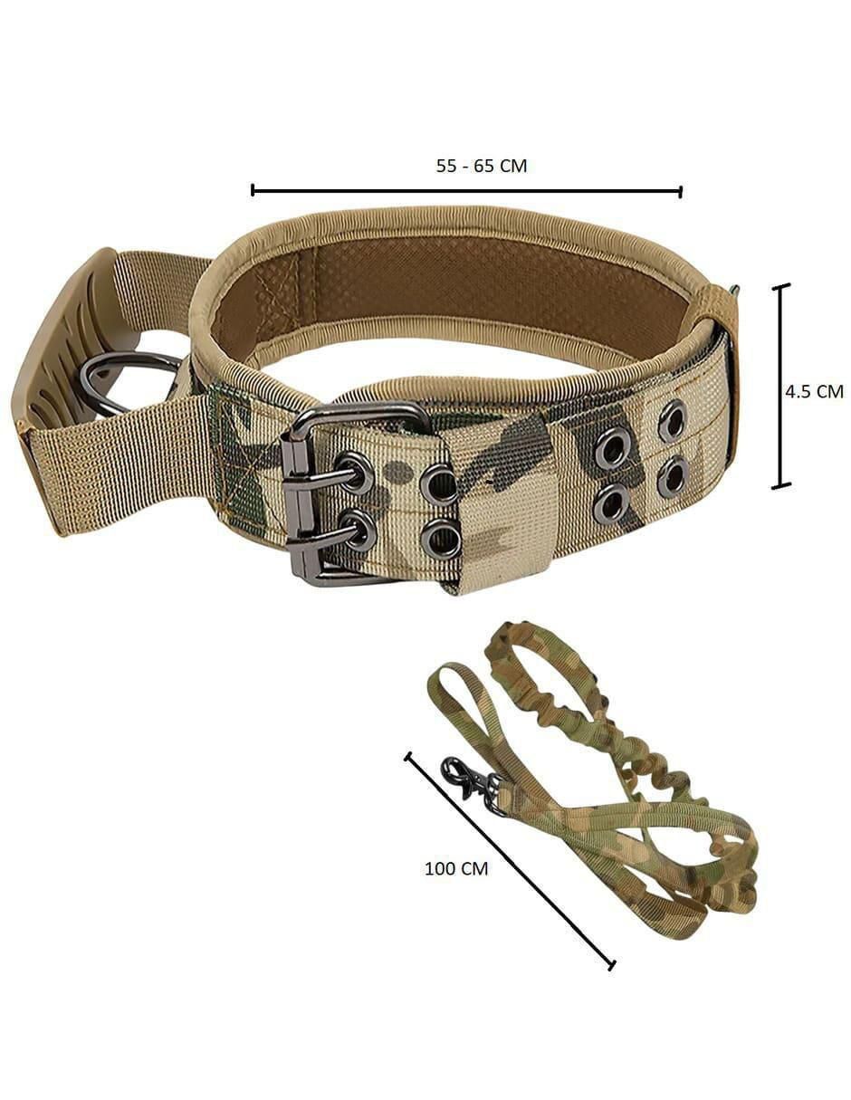 Correa y collar para perro 5
