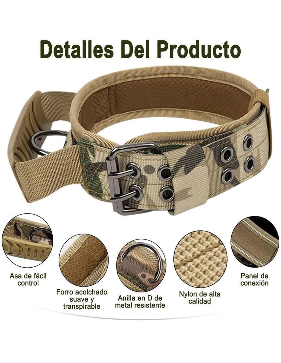 Correa y collar para perro 3