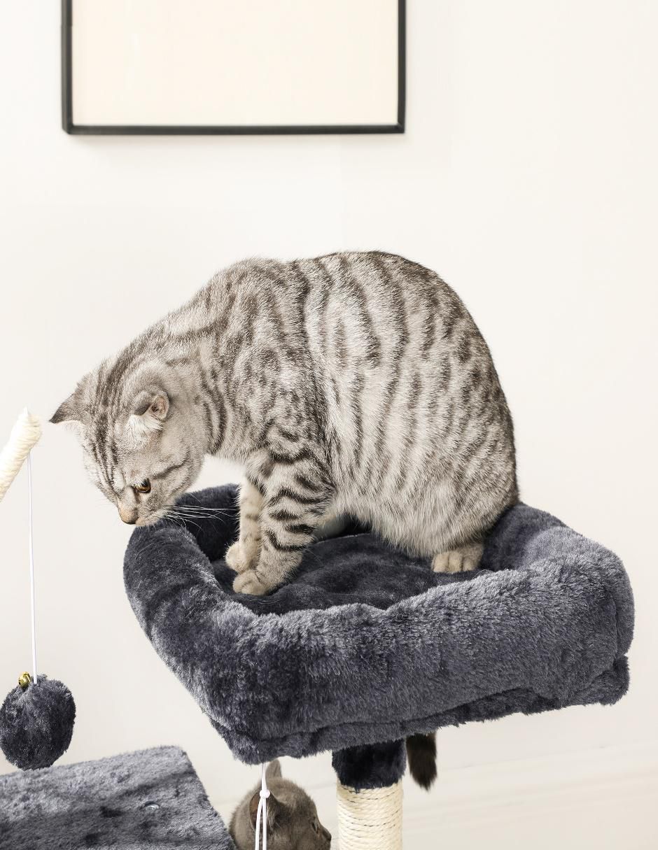 Rascador para gato 3