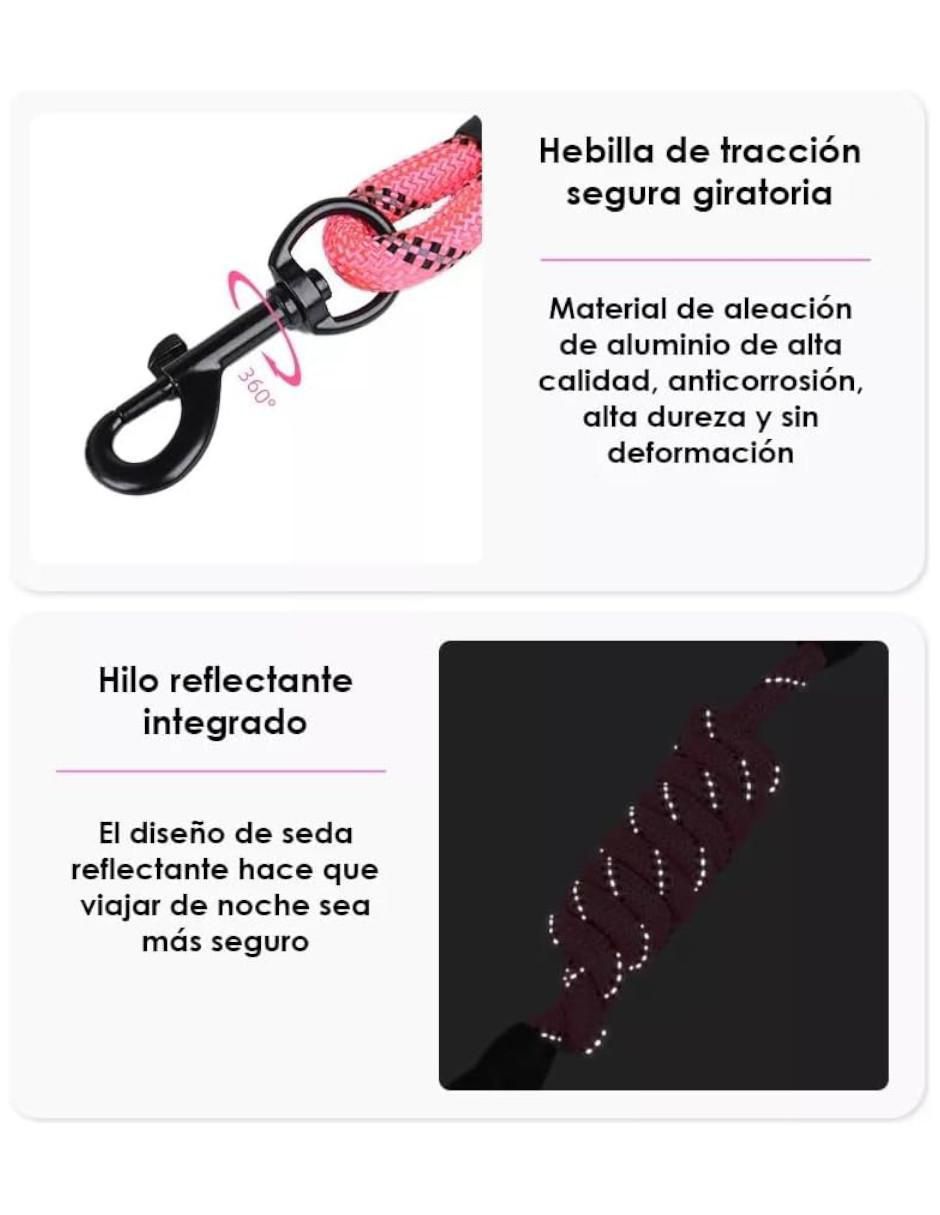 Correa y collar para perro 4