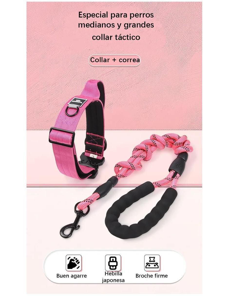 Correa y collar para perro 5