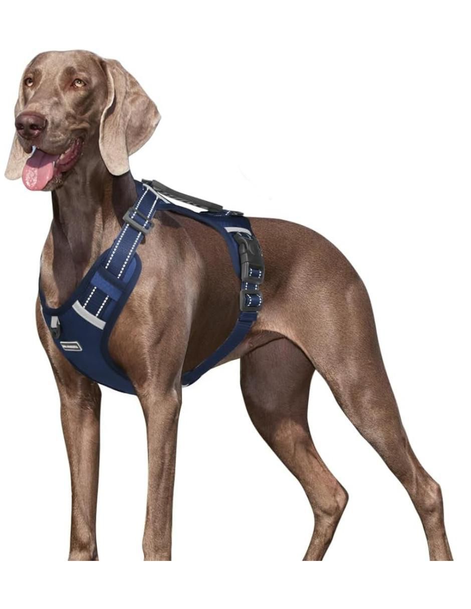 Correa de sintético para perro 2