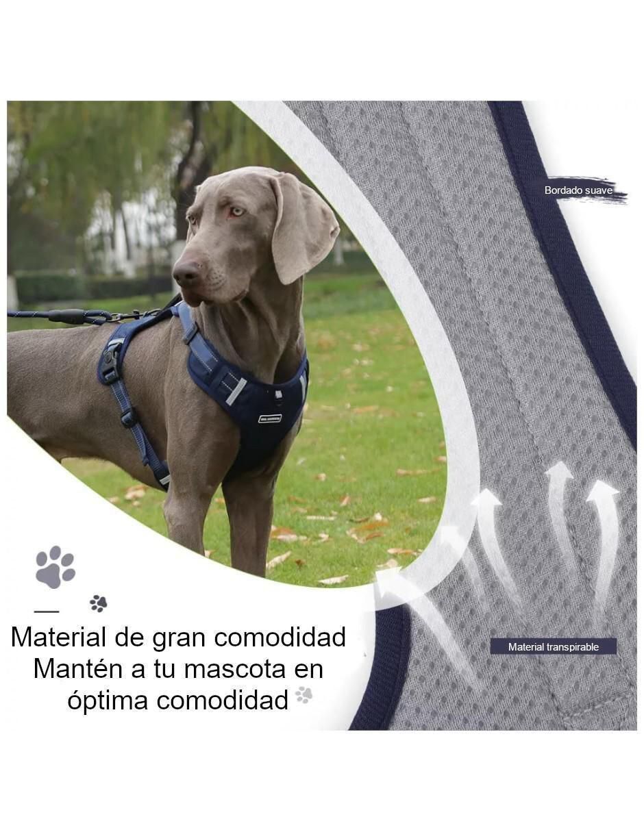 Correa de sintético para perro 3