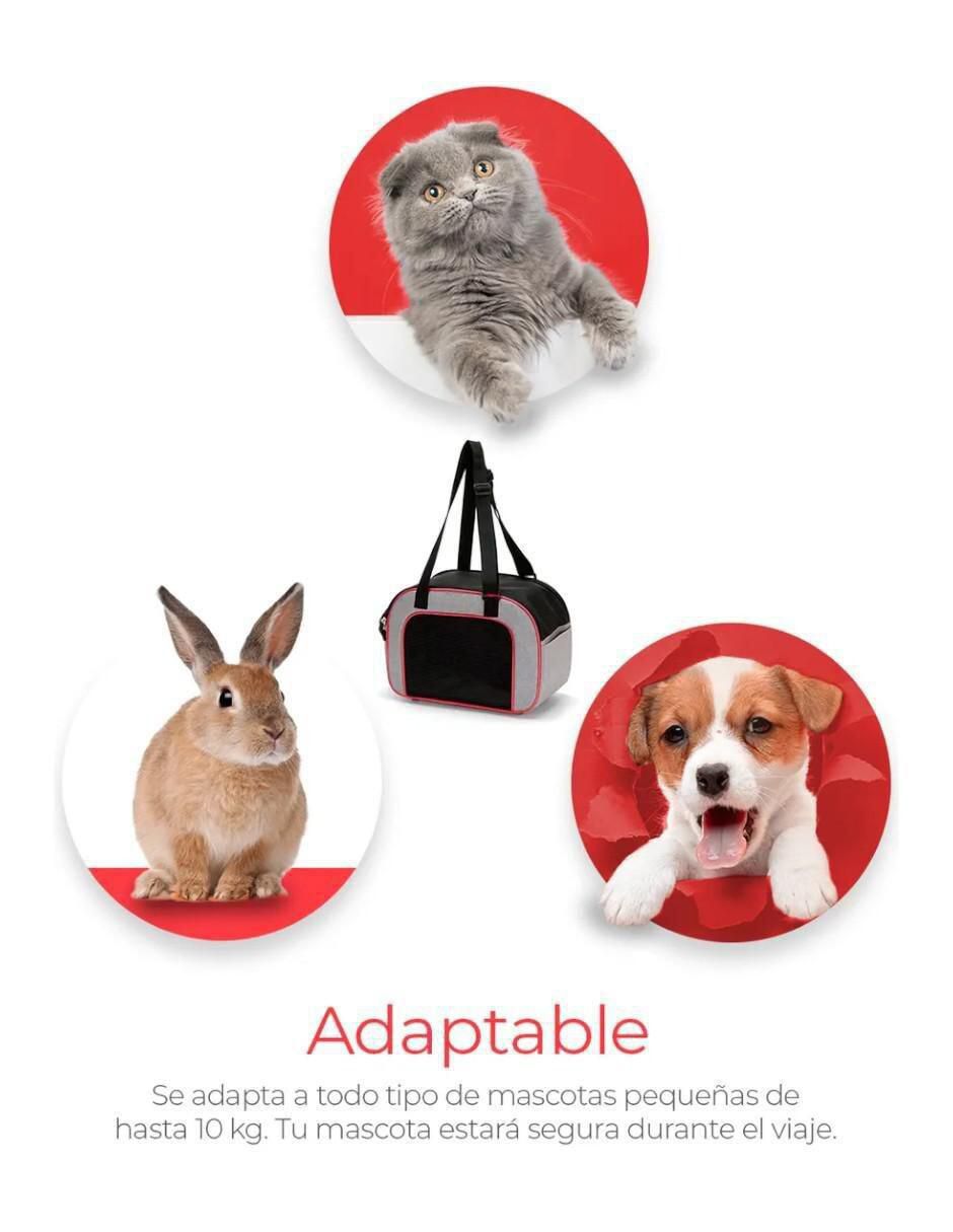 Transportadora para perro y gato 2