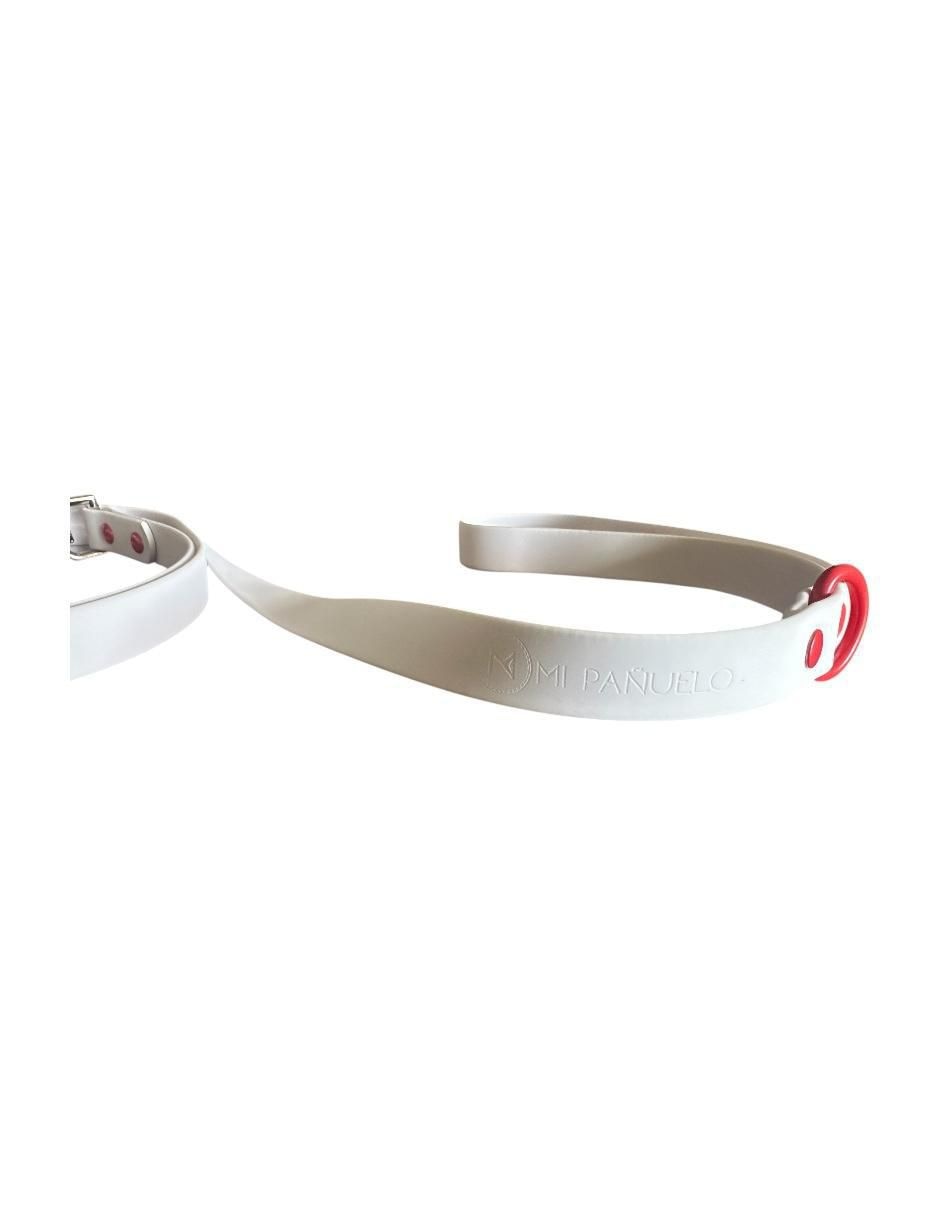 Correa y collar para perro 3