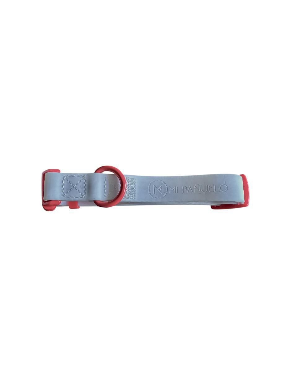 Correa y collar para perro 4
