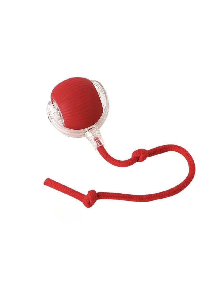 Juguete interactivo para perro y gato