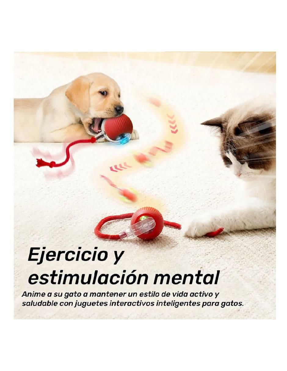 Juguete interactivo para perro y gato 2