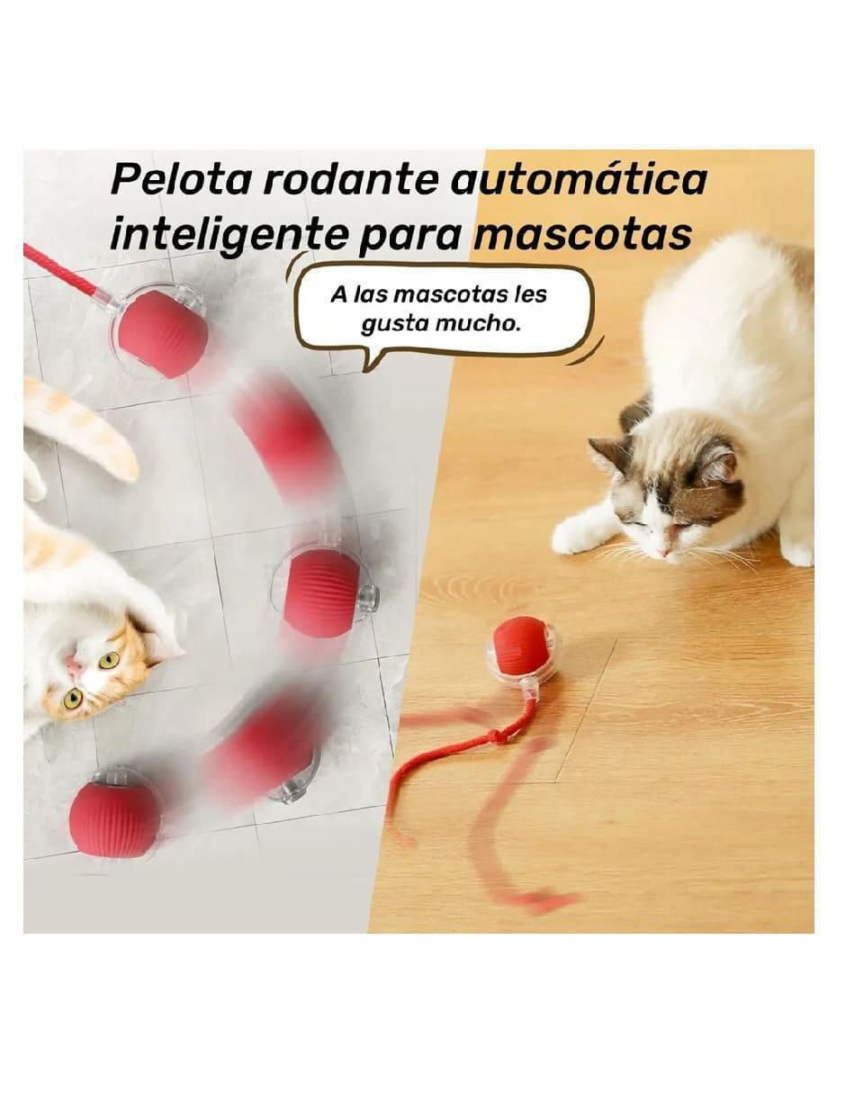 Juguete interactivo para perro y gato 4