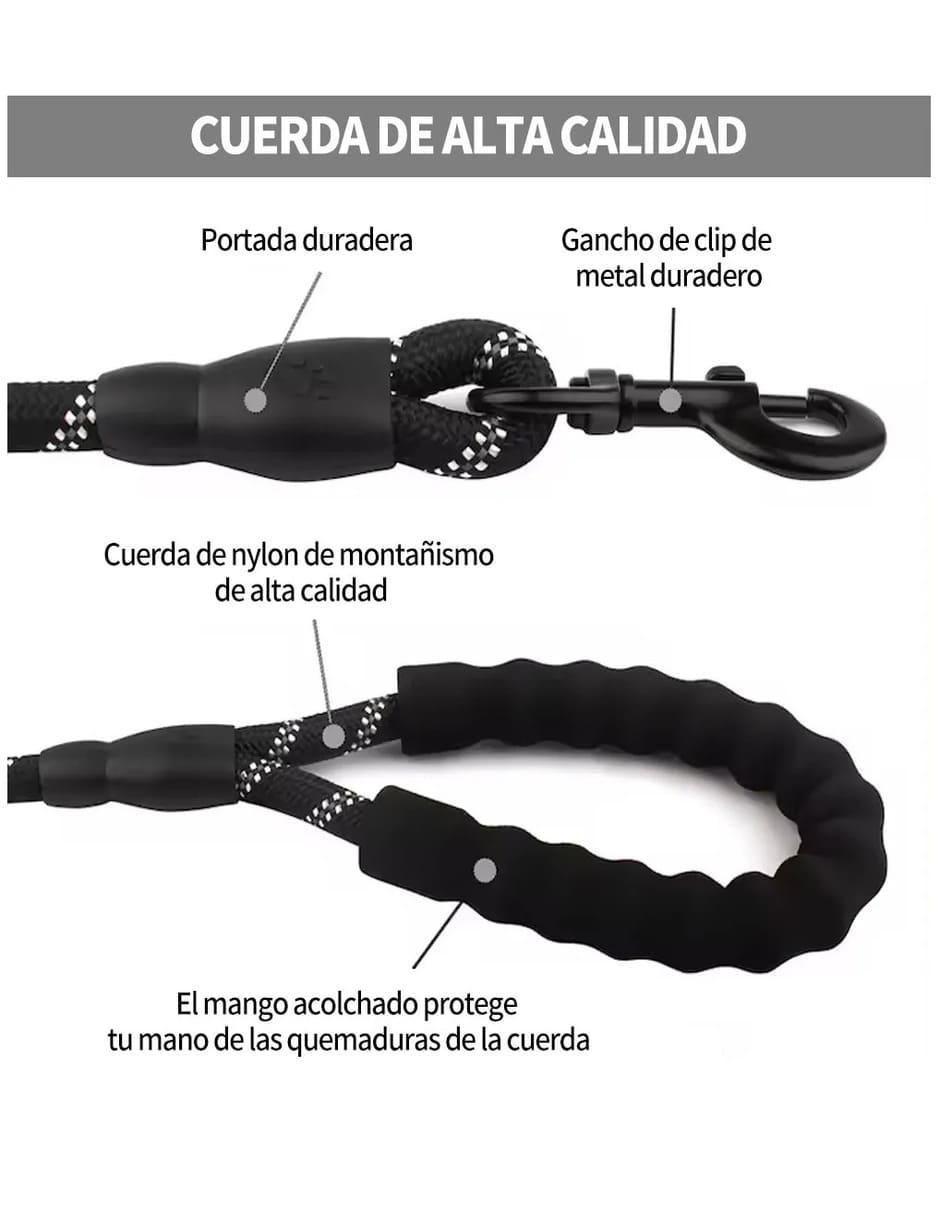 Correa y collar para perro 2