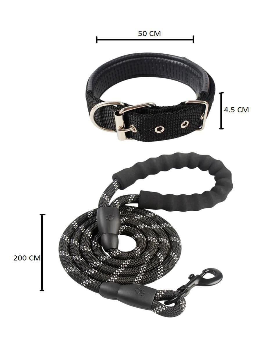 Correa y collar para perro 5