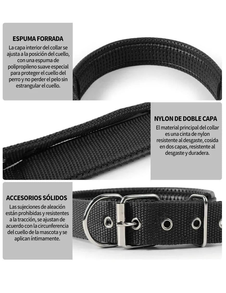 Correa y collar para perro 3