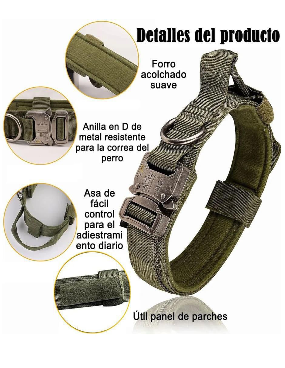 Correa y collar para perro 2