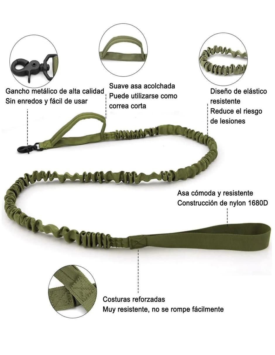 Correa y collar para perro 3