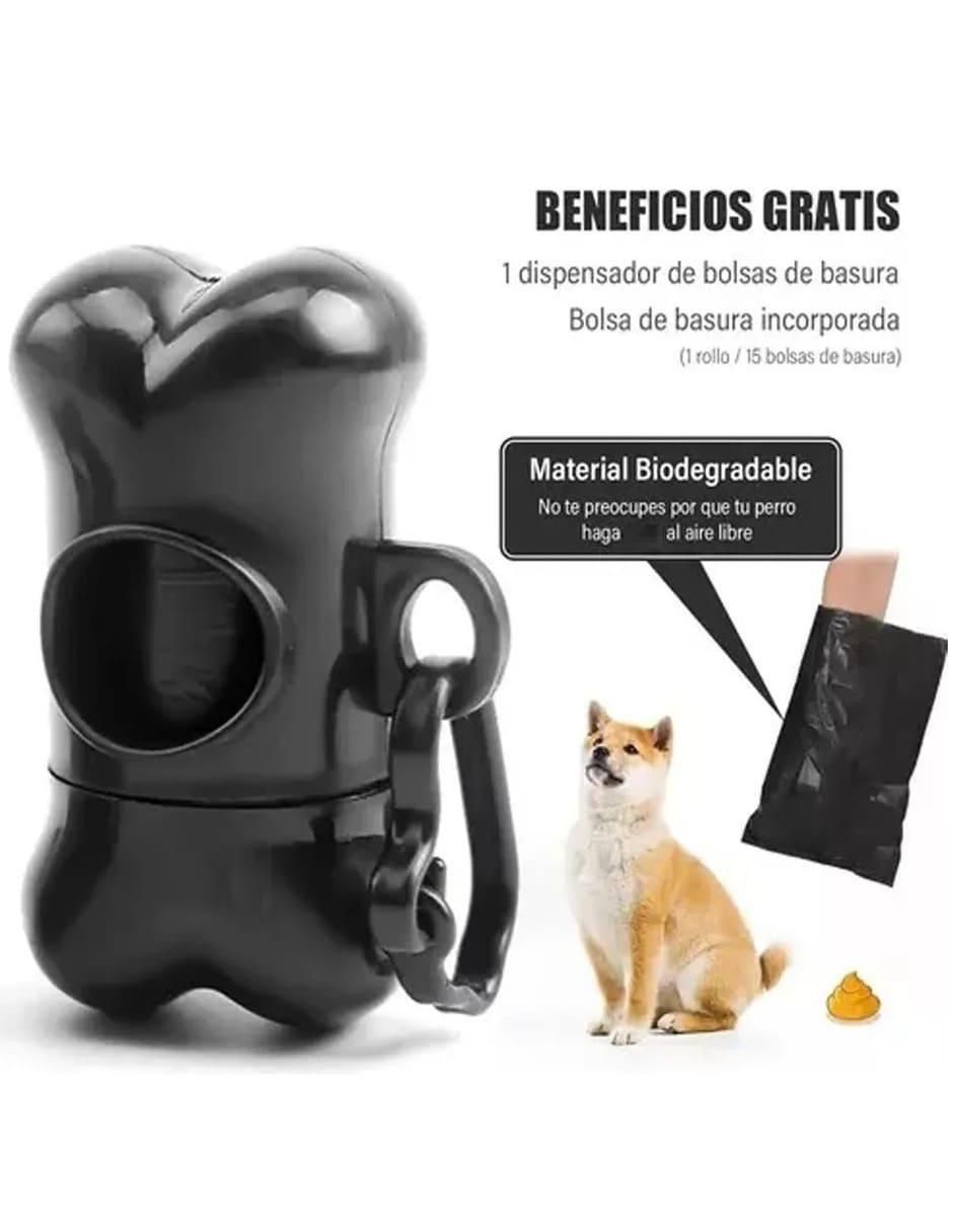 Correa para perro 2