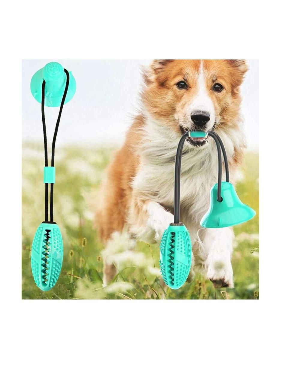 Juguete interactivo para perro 4