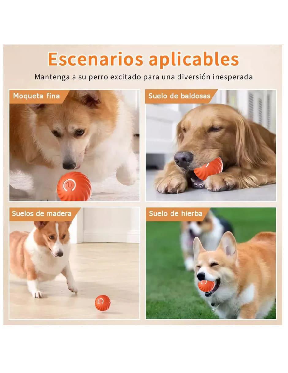 Juguete interactivo para perro 3