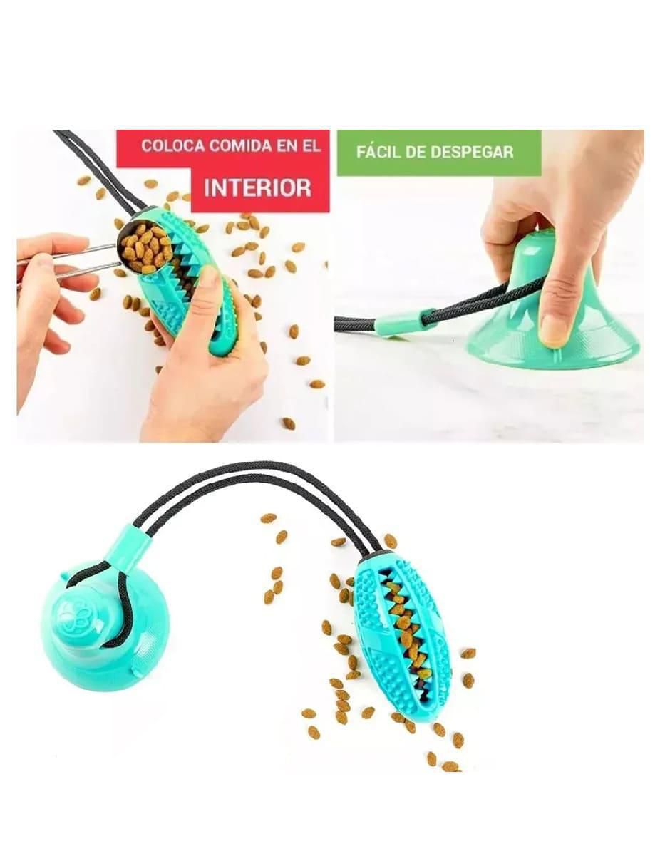 Kit de juguetes para perro 2