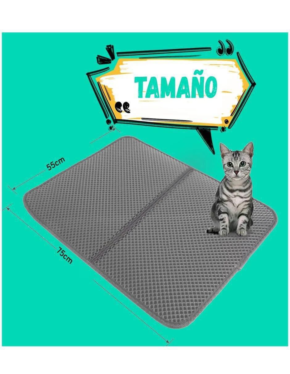 Arenero para gato 6