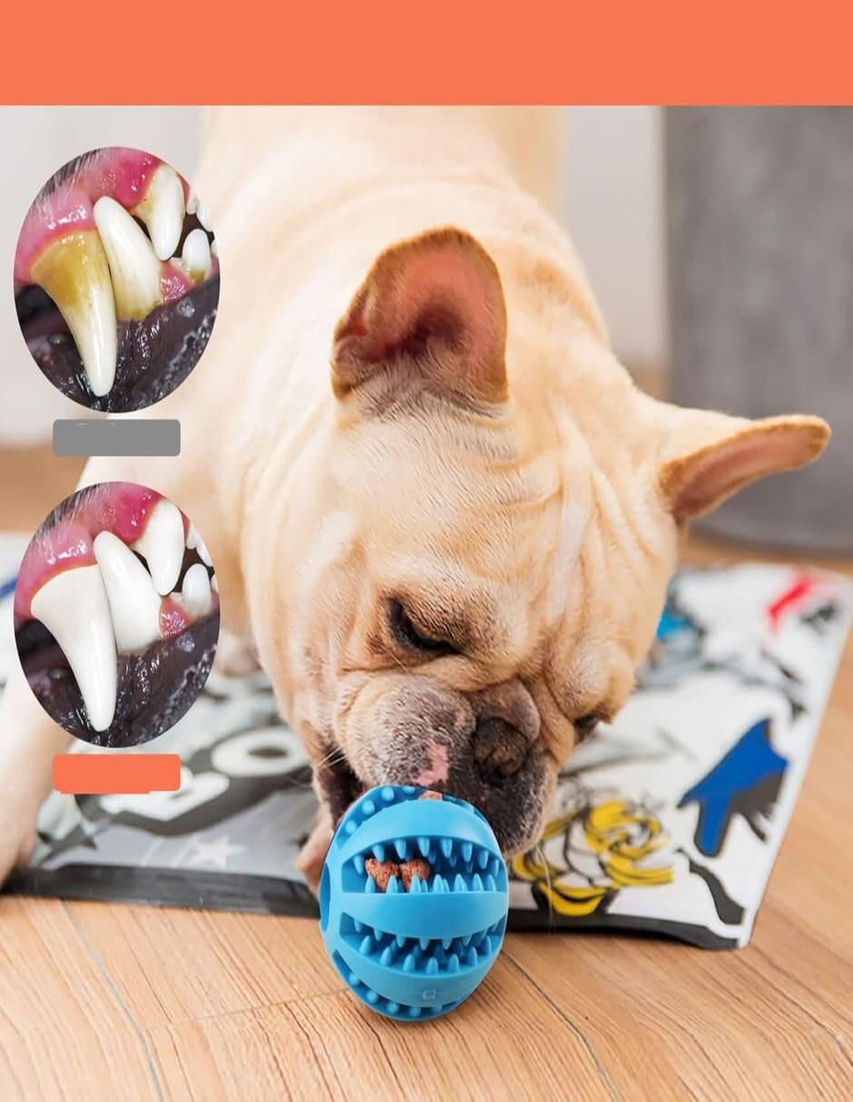 Pelota para perro 3