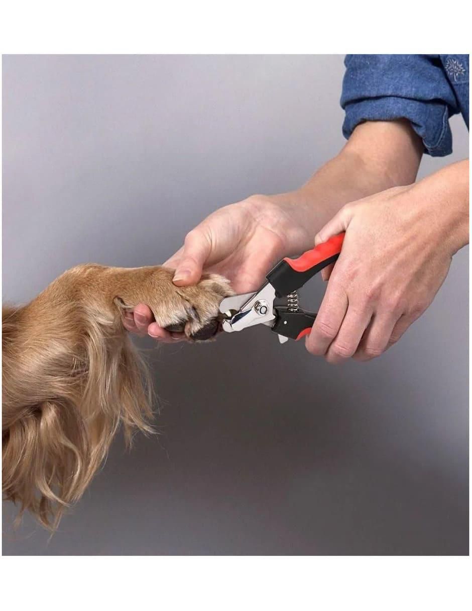 Cortaúñas para perro y gato 4