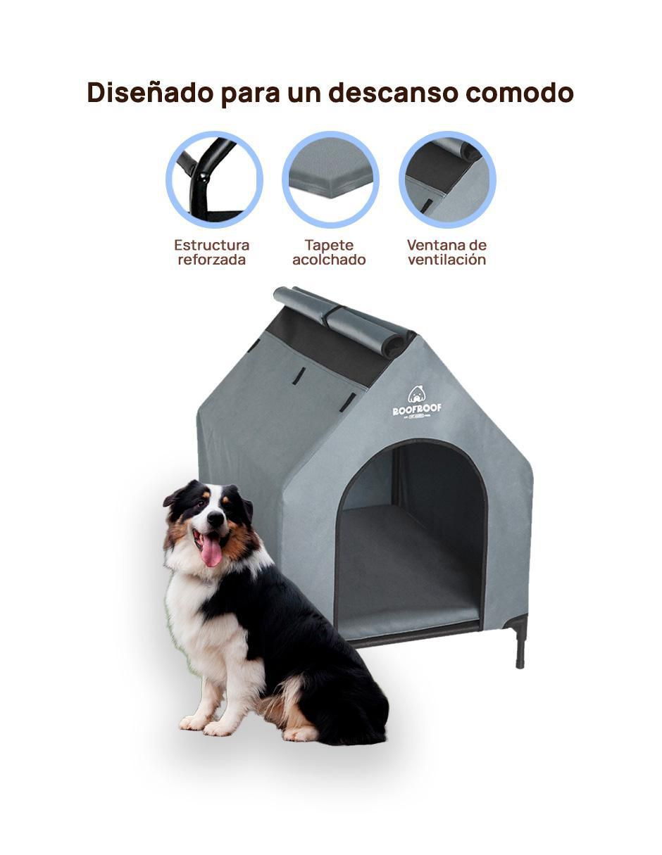 "casa para" perro level home