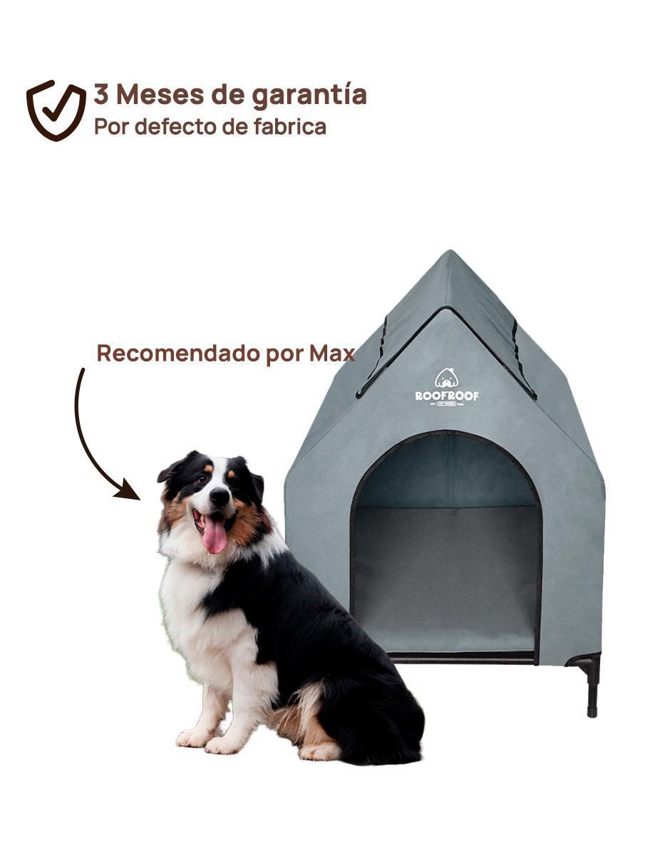 "casa para" perro level home