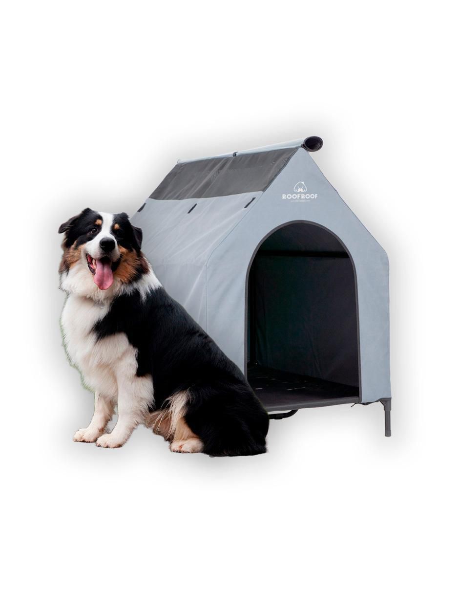 "casa para" perro level home