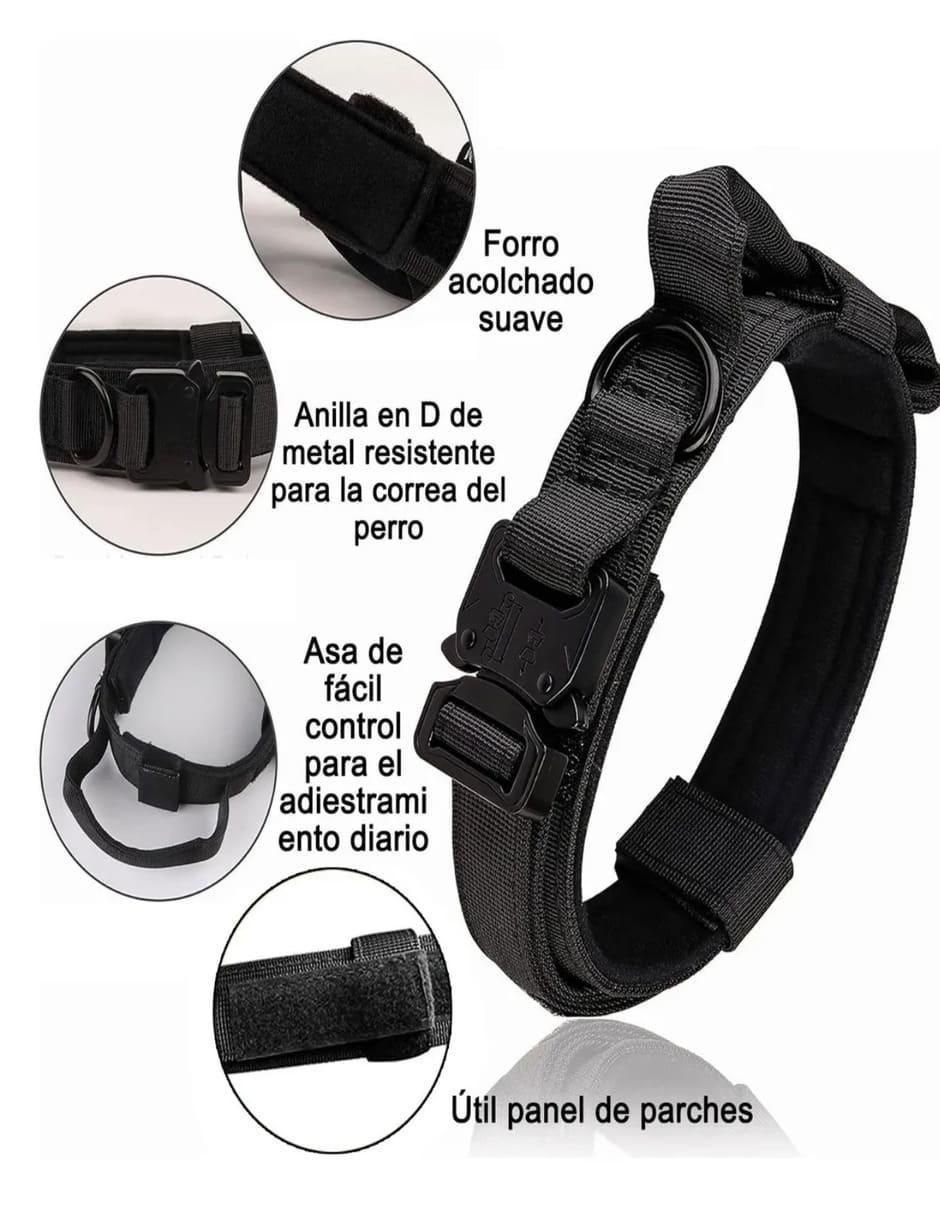 Correa y collar para perro 3