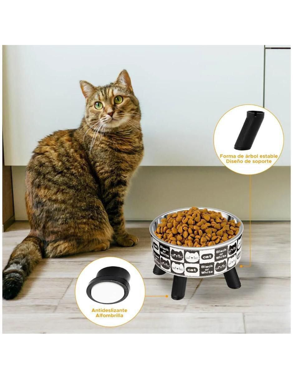 Set plato para gato 2