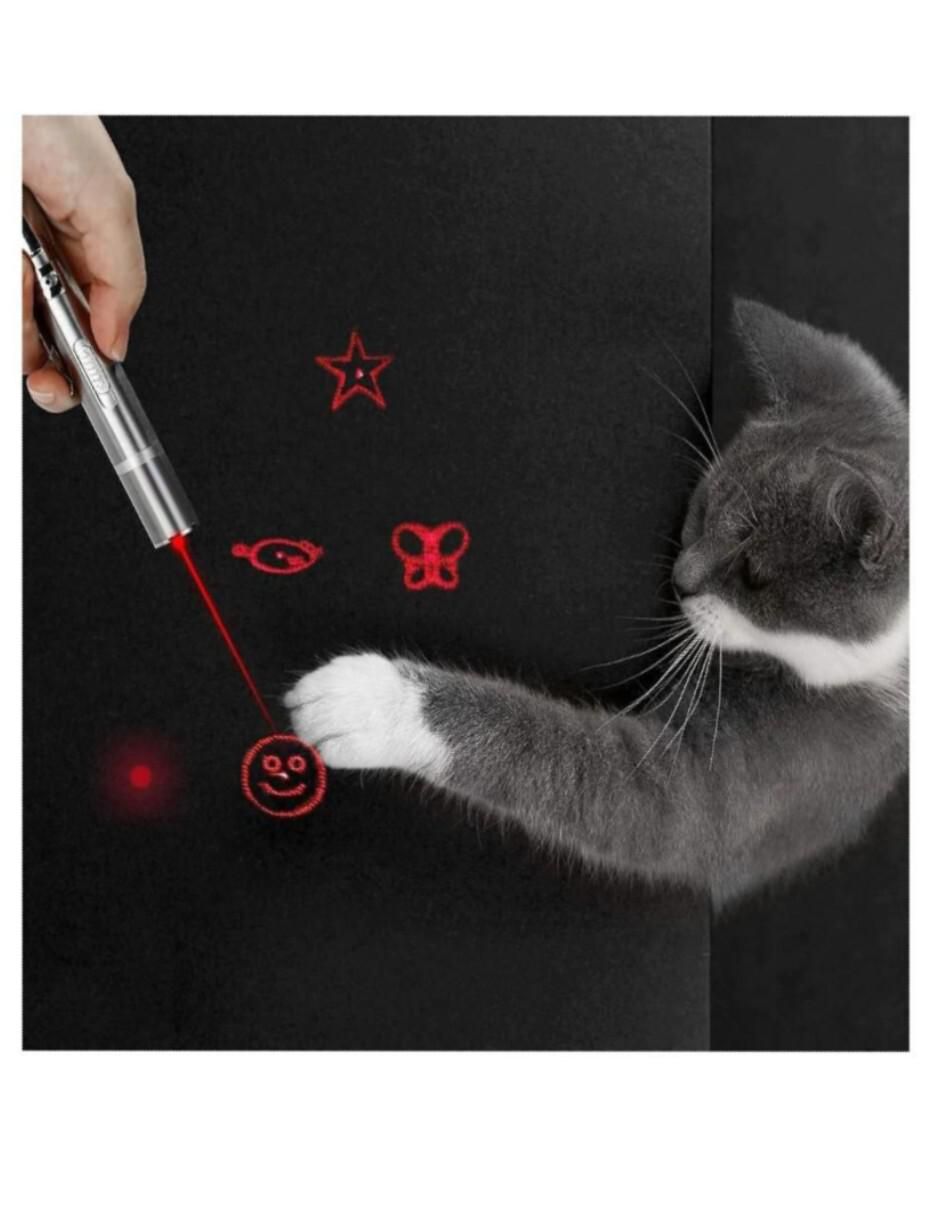 Juguete interactivo para mascota 2