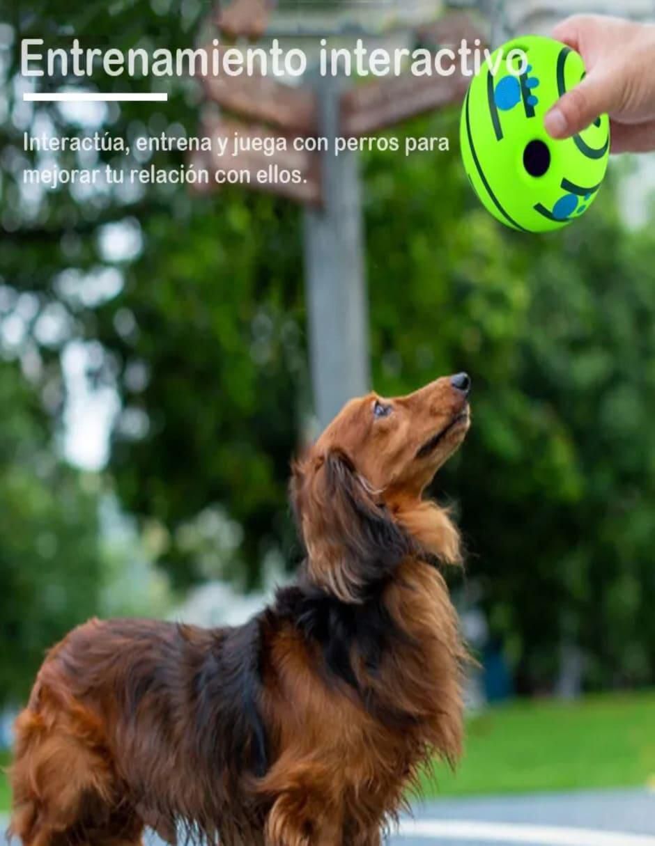 Pelota para perro 3
