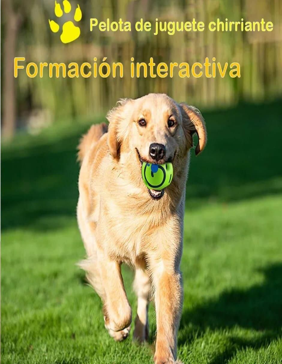 Pelota para perro 4